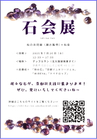 石会展