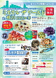 ミネラルザワールドin横浜2020リベンジ!
